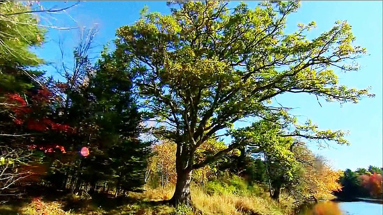 17 - NAVEGANDO POR EL RIO (2)