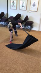 Workplace Snake Catching Training is a Thing in Australia