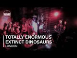 Totally Enormous Extinct Dinosaurs Boiler Room London DJ Set