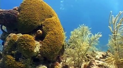 Mighty Machines full - Under the Waves