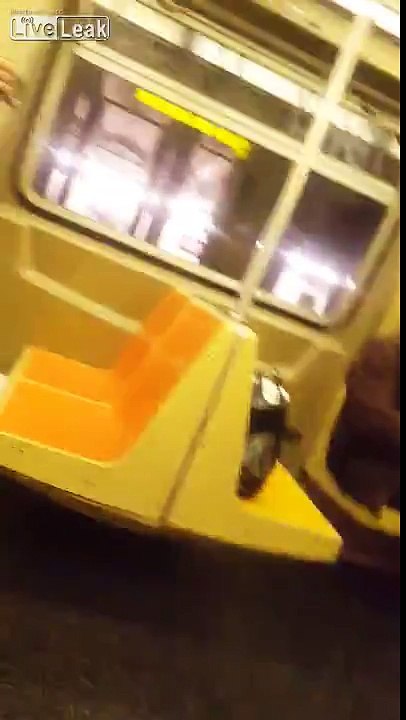 Once again, supposedly tough NYers freak out over a rat in their subway car