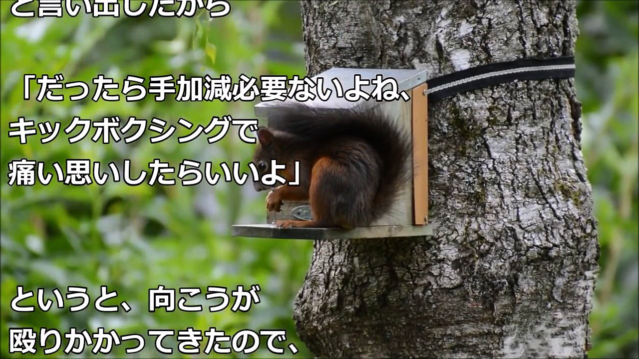 【スカッとする話】両親がもらい事故で他界　経営者「親がしんだだけで休みなんか取るな」→葬儀後復帰すると社長達から罵声とありえない言葉が→マジ切れした俺は…