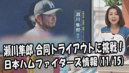 日本ハム 瀬川隼郎 12球団合同トライアウトに挑戦！ 2017.11.15 日本ハムファイターズ情報 プロ野球