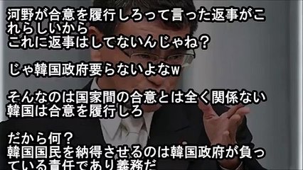 【日韓合意】河野大臣の踏み絵に『韓国外相が”最悪の返し”を言い放ち』日本側騒然。お前の問題だ！とツッコミ殺到