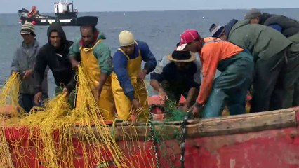 TERNYATA IKAN TUNA TERBESAR ITU CARA NANGKEPNYA KAYAK GINI