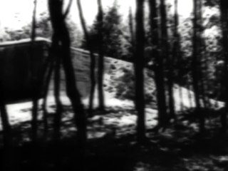 Siegfried Line (Westwall)_ Dragon's Teeth 1963; WWII