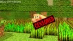 Minecraft Animation Minecraft Funny Animations Funniest Minecraft Animations 2017!
