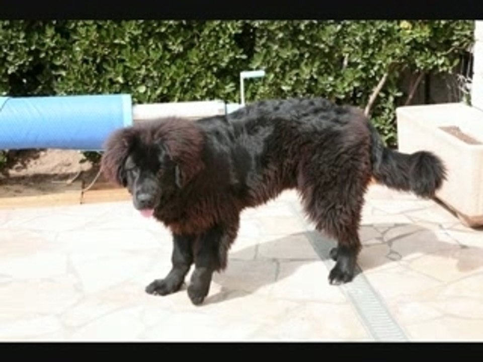 BOUBA01