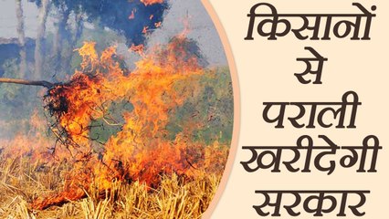 Delhi Smog: Pollution  कम करने के लिए किसानों से पराली खरीदेगी सरकार | वनइंडिया हिंदी
