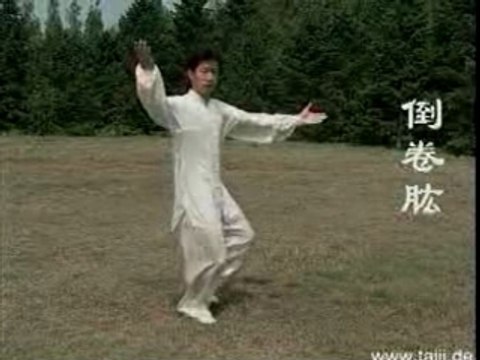 Martial Arts - Aikido - Tai chi self-defense