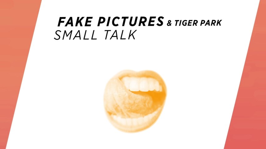 Fake Pictures - Small Talk