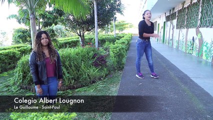 Una isla rica en colores 2