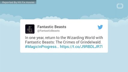 ‘Fantastic Beasts: The Crimes Of Grindelwald’ Has Revealed Its Cast And Title
