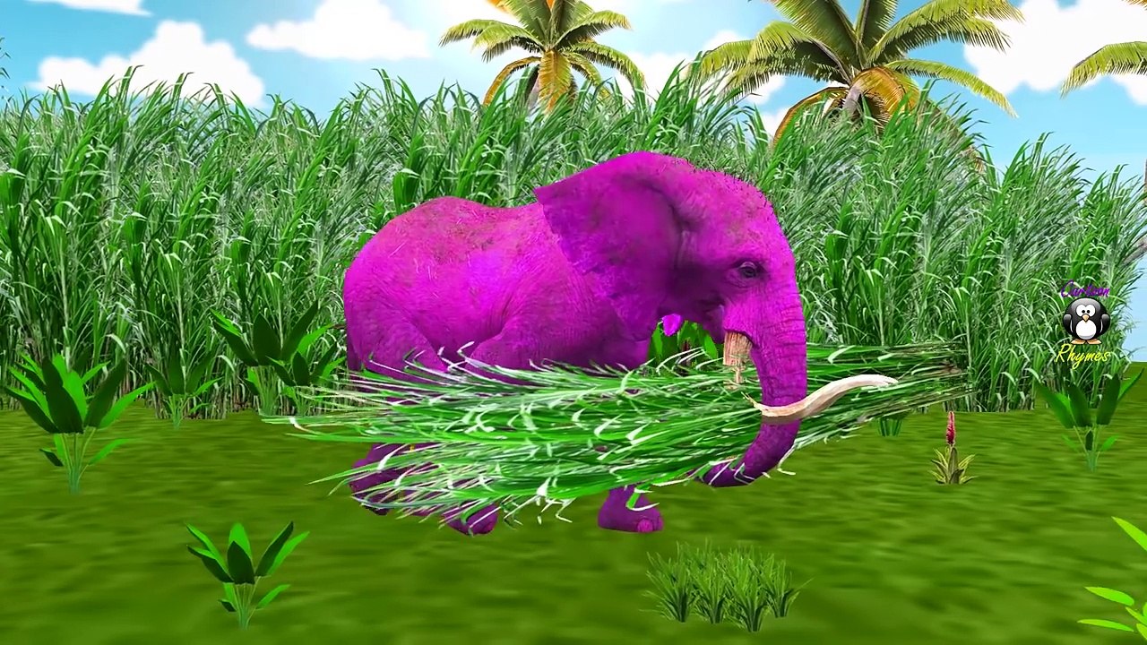 Colors Gorilla Elephant Finger Family | Colors Dinosaur Lion Finger Family Children Nursery Rhymes