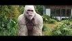 Rampage - Bande-Annonce - VO