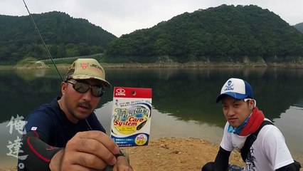 どうやらバス達は深場へ移動したらしい。