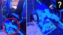 Airline passenger shamed after photo of rude behavior goes viral