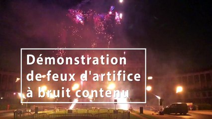Gaia sensibilise les élus aux feux d'artifice à bruit contenu