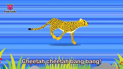 Cheetah Bang Bang _ Cheetah _ Animal Songs _ Pinkfong Songs for Children-qEmd99ev2dg