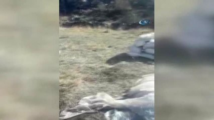 Ağrı'da Terör Operasyonu... Etkisiz Hale Getirilen Terörist Sayısı 5'e Yükseldi, Bin 650 Kilogram...
