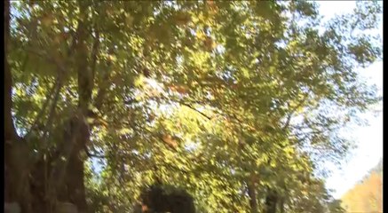 Σχέδιο νόμου για φορεά διαχείρισης προστατευόμενων περιοχών