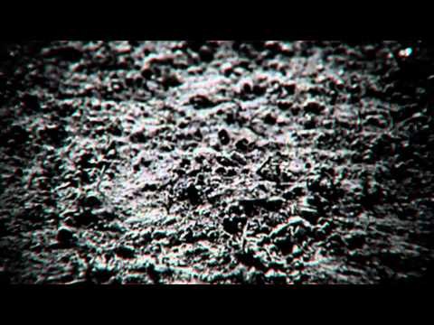 Medlar Paradise - Boiler Room Debuts