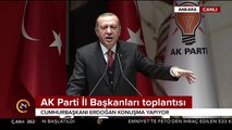 Cumhurbaşkanı Erdoğan: Enflasyonun sebebi; hıyar, salata değil, faizdir