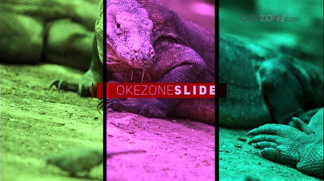 Menapaki Pesona Taman Nasional Komodo