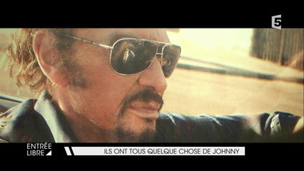 Ils ont tous quelque chose de Johnny