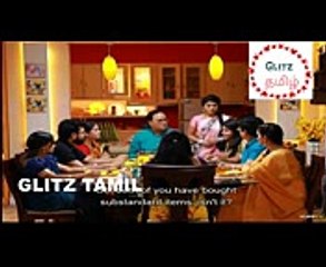Raja Rani Serial 16-11-17 Episode-123