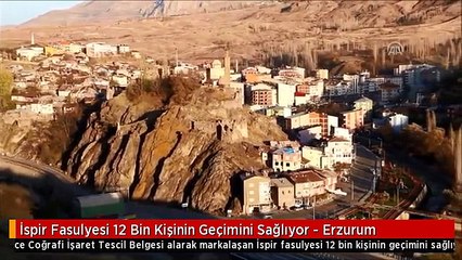 İspir Fasulyesi 12 Bin Kişinin Geçimini Sağlıyor - Erzurum