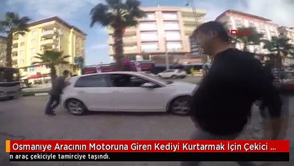 Osmanıye Aracının Motoruna Giren Kediyi Kurtarmak İçin Çekici Çağırdı