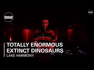 Descargar video: Totally Enormous Extinct Dinosaurs Boiler Room Ray-Ban x Boiler Room Weekender | DJ Set