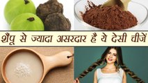 Natural Things For Hair Wash | प्राकृतिक चीजों से धोऐं बाल | Boldsky