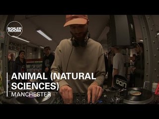 Animal (Natural Sciences) Boiler Room Manchester DJ Set