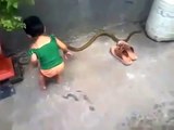 Indian Viral Video Child Playing With indian cobra - funny animal video