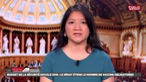 Budget de la sécurité sociale 2018 : les vaccins et la politique familiale - Les matins du Sénat (17/11/2017)