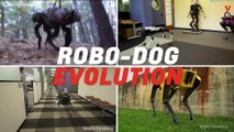 The Evolution Of Boston Dynamics’ Robot Dogs