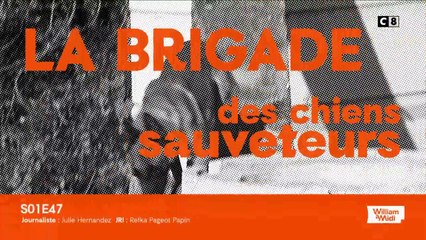 La brigade des chiens sauveteurs