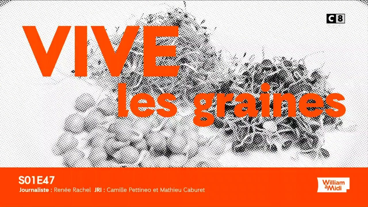 Vive les graines !