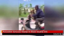 Motosiklet Sürücüsü Köpeği ile Böyle Seyahat Etti