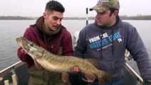 Pike Fishing With Deadbaits - Rigs, Tips & Tics
