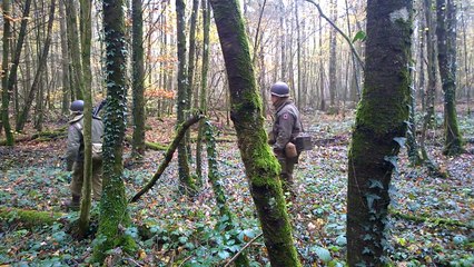 Des reconstituteurs français, belges et anglais sur les traces du 71e régiment de la 44e div US dans le bois du Remabois