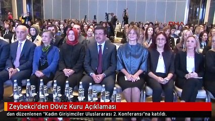Zeybekci'den Döviz Kuru Açıklaması