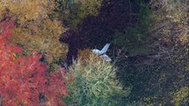 Aerials show wreckage after Aylesbury plane crash