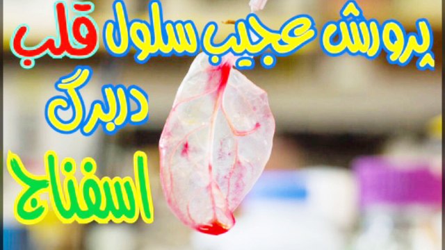 trim.E734A69D-9798-4310-9A0A-414AA27C69B3