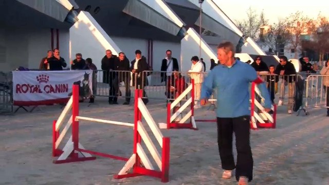 Concours d'agility à la halle de Martigues