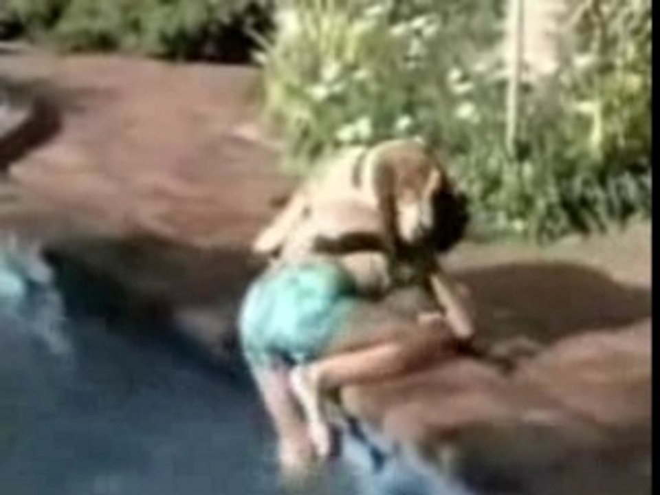 Chien & la petite fille a la piscine