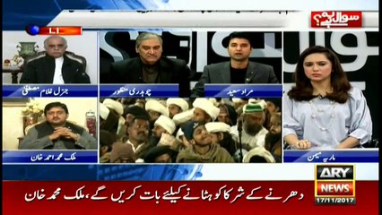 Constitution allows peaceful protests: PTI's Murad Saeed