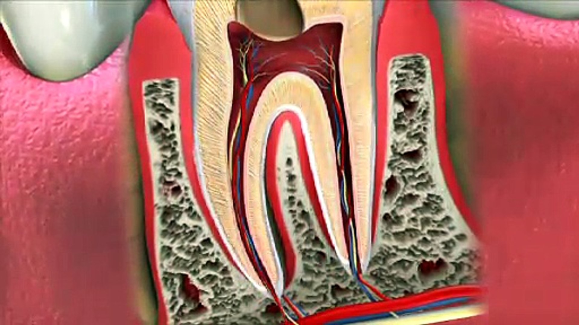 ⁣Root Canal Alternatives